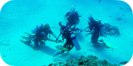 >>> Demonstrating skills in Open Water © Pacific Divers