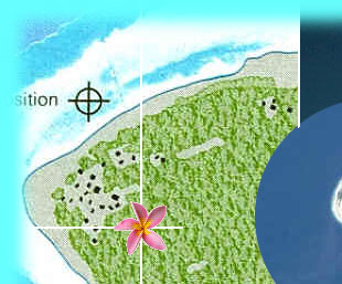 a little paradise in the south pacific ocean