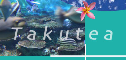 Takutea Collage 4_4 / everyone who can contribute text or information concerning the island of Takutea is welcomed